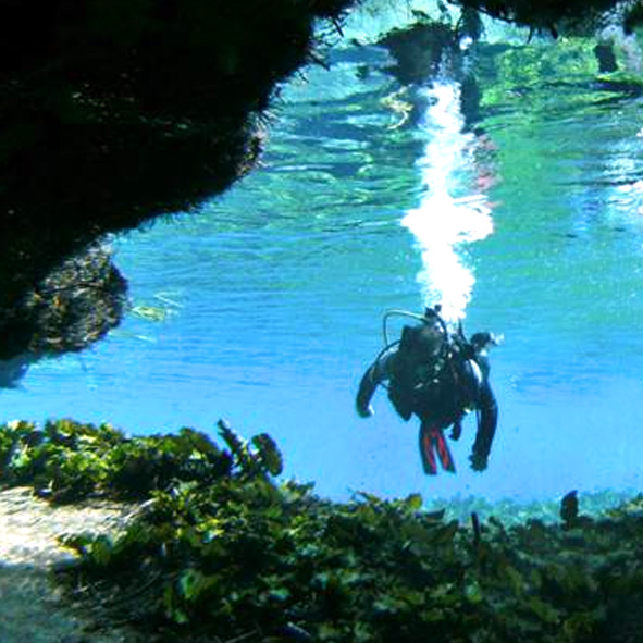 Buceo en San Luis Potosi